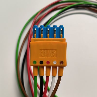 El uso de los productos de la categoría &quot;A&quot; debe ser considerado como un uso de la categoría &quot;A&quot; en el caso de los productos de la categoría &quot;A&quot;.